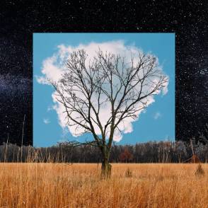 BLOOM INNOCENT – the latest Fink album out 25.10.19